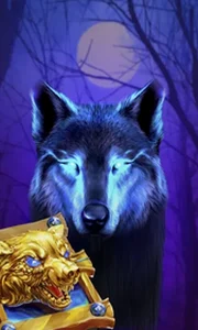 Book Of The Night Wolf