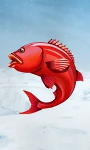 Ice Fishing